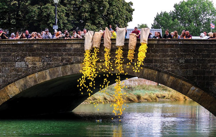 Arundel-Festival-duckrace